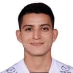 Y. Erique